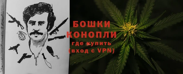 винт Абаза