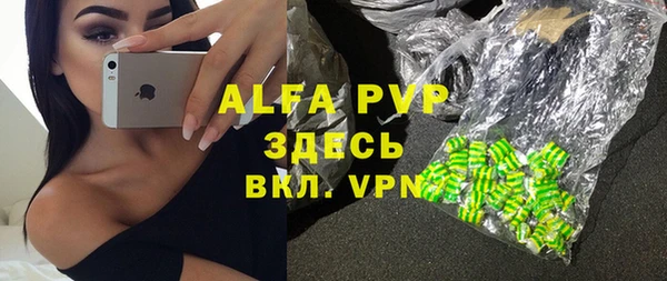 винт Абаза