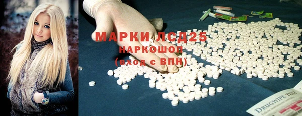 винт Абаза