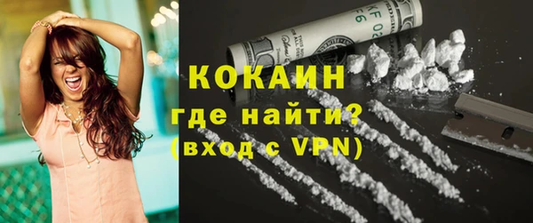 винт Абаза
