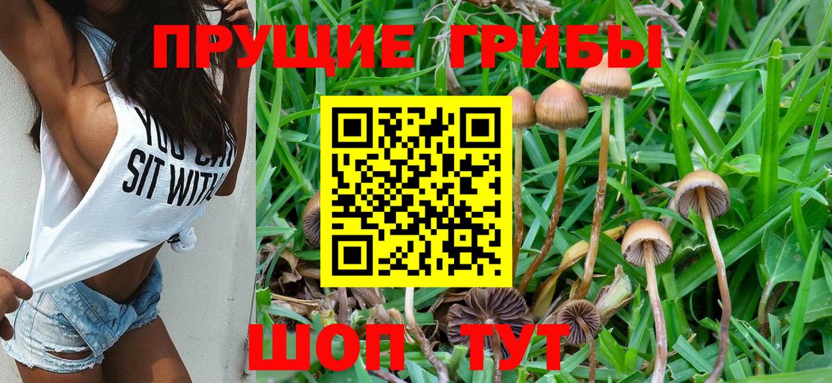 Псилоцибиновые грибы GOLDEN TEACHER Магнитогорск