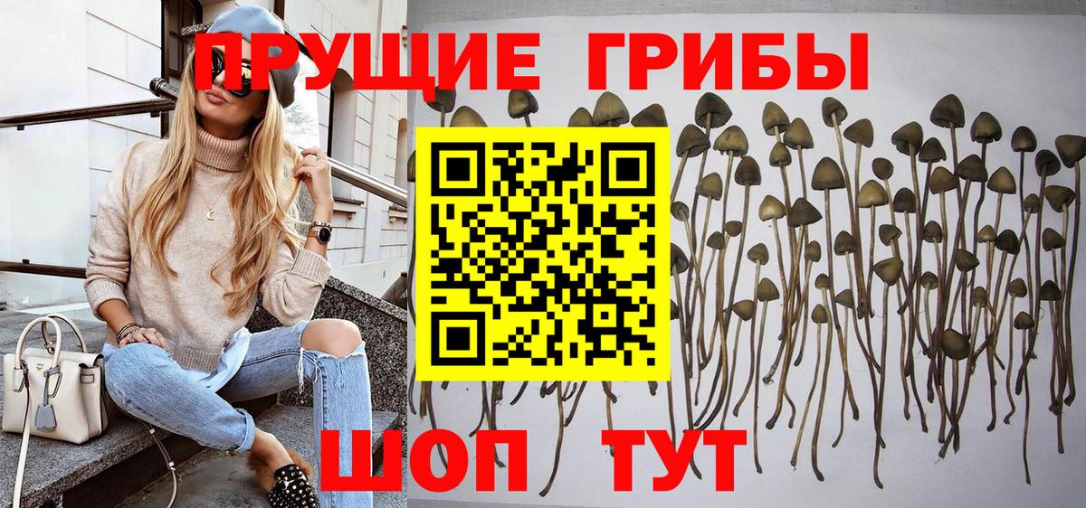 Псилоцибиновые грибы Magic Shrooms  Вход с VPN  наркота  Магнитогорск 